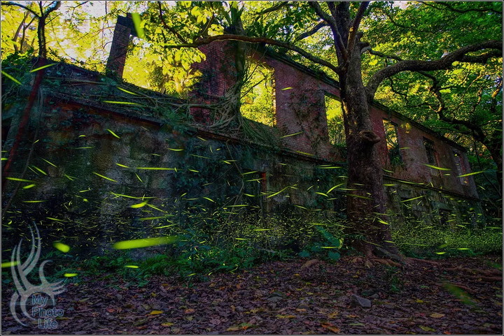PENTAX．2021回顧