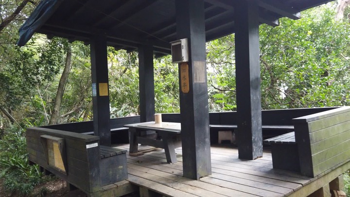[樂山童盟] [新北樹林] 青龍嶺-三角埔頂山-大同山