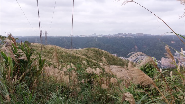 [樂山童盟] [新北樹林] 青龍嶺-三角埔頂山-大同山