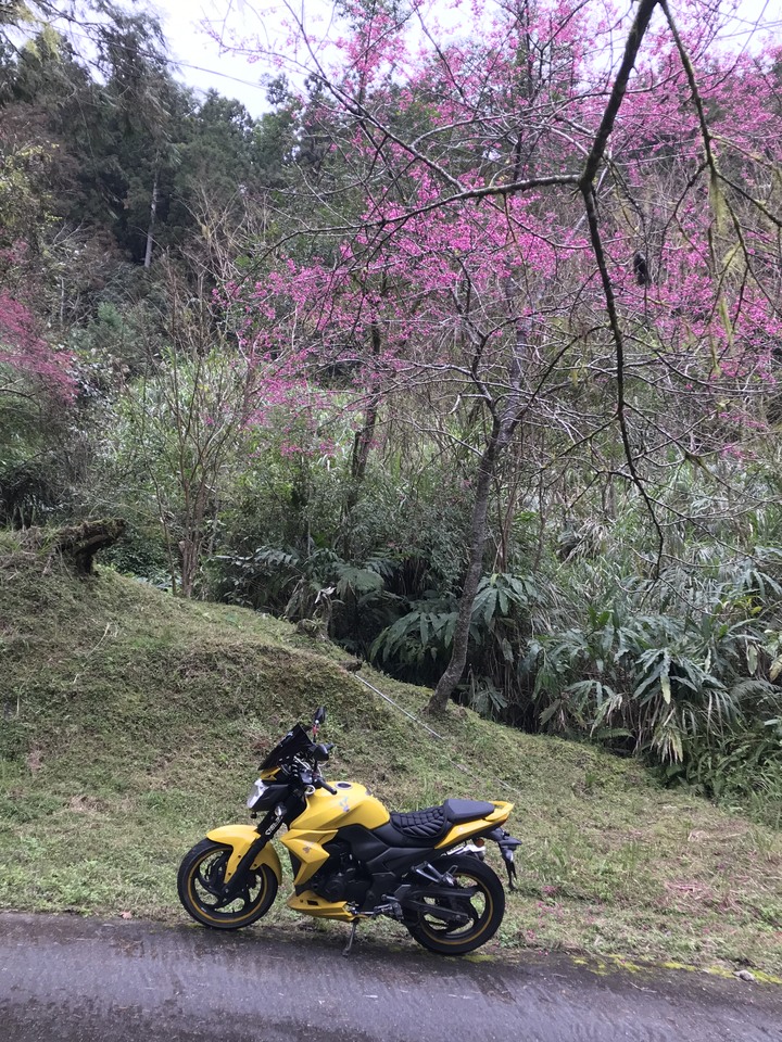 被遺忘的宜51鄉道