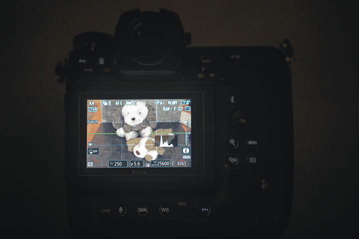 【NIKON Z9】我的第一台旗艦機&使用心得分享