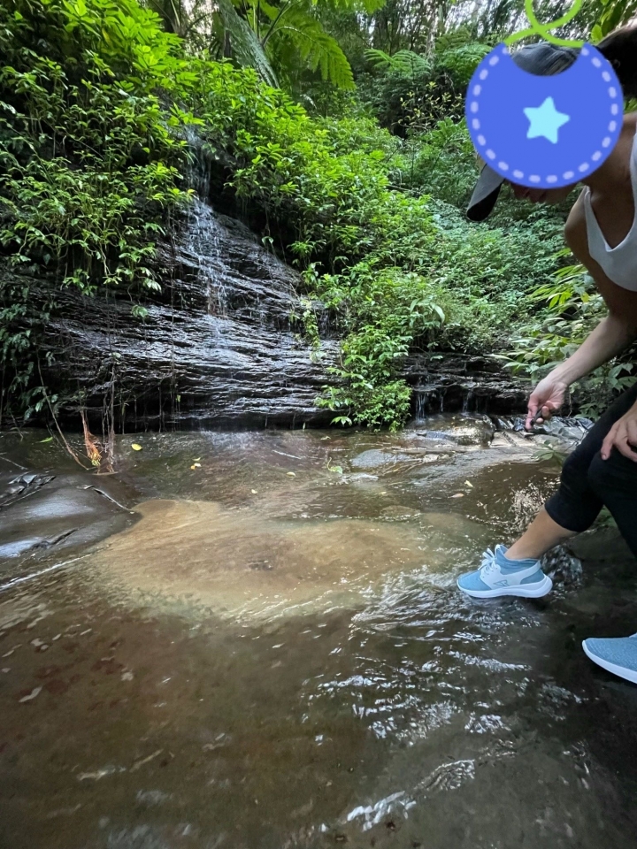 新北汐止 | 隱居深山的私房景點：茄苳瀑布