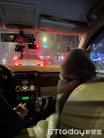 3分鐘距離...阿公堅持「開車載汪孫」出門嬤嘆:原來我只是順便