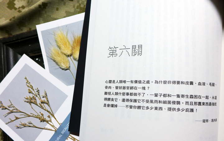 【閱讀筆記】科幻/奇幻小說《一級玩家II：二級玩家》
