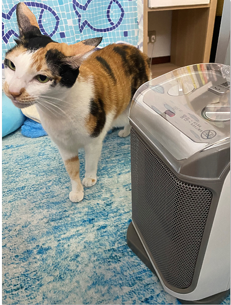 出賣女友之好物分享!嘉儀KEP211陶瓷式電暖器,再也不怕天氣忽冷忽熱!