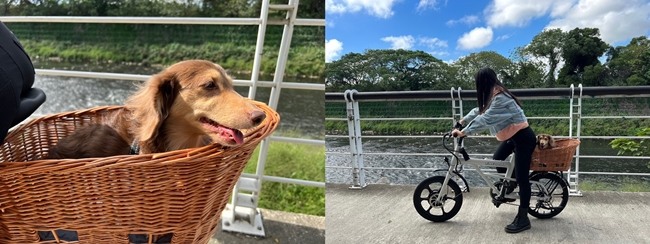 【分享】非常方便的打浪電動輔助自行車