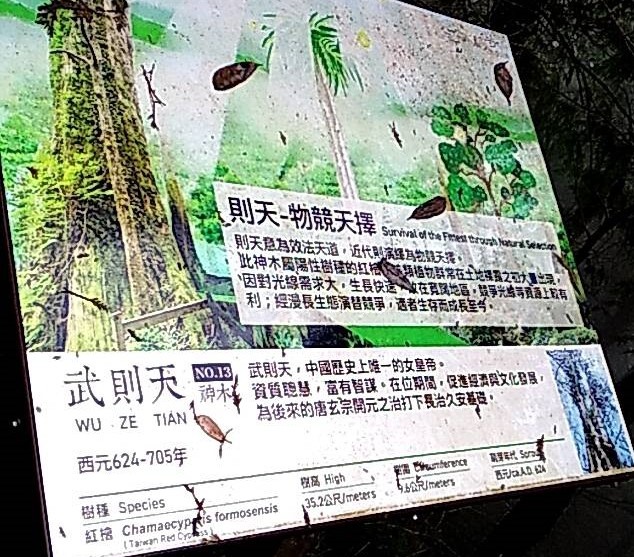 棲蘭神木園區