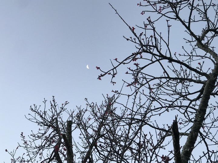 全天候騎士：大野狼五天五夜騎旅（二）－－老佛小路虎頭女乃溪霧台阿禮