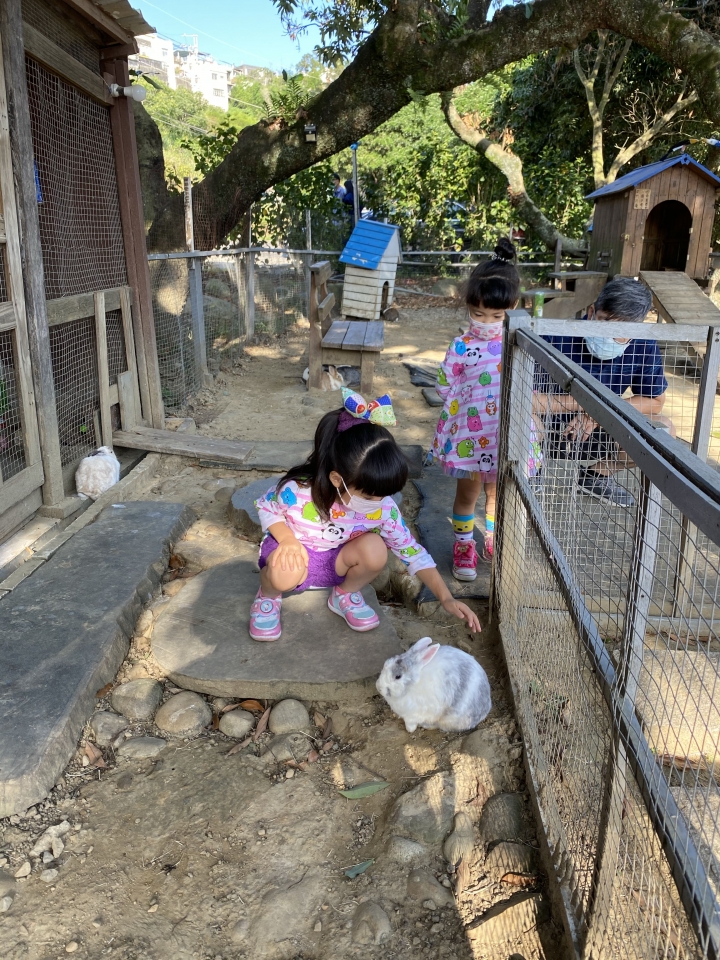 餵魚～看兔子～遛小孩的好去處～青青湖畔親水花園（景觀餐廳）