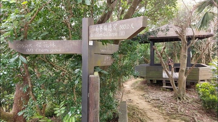 [樂山童盟] [新北樹林] 青龍嶺-三角埔頂山-大同山