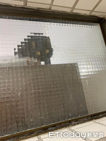 洗澡遇「毛色狼」貼窗狂盯黑影曝身分…她抖：有點毛毛的