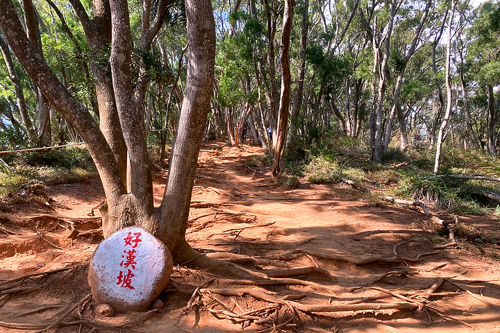 苗栗三義｜火炎山步道｜惡地大峽谷．山風狂烈窄稜陡坡