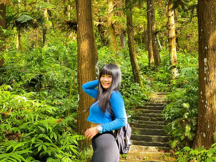 苗栗獅潭|仙山,CP值很高的小百岳,享受柳杉林又能挑戰岩壁拉繩攀爬