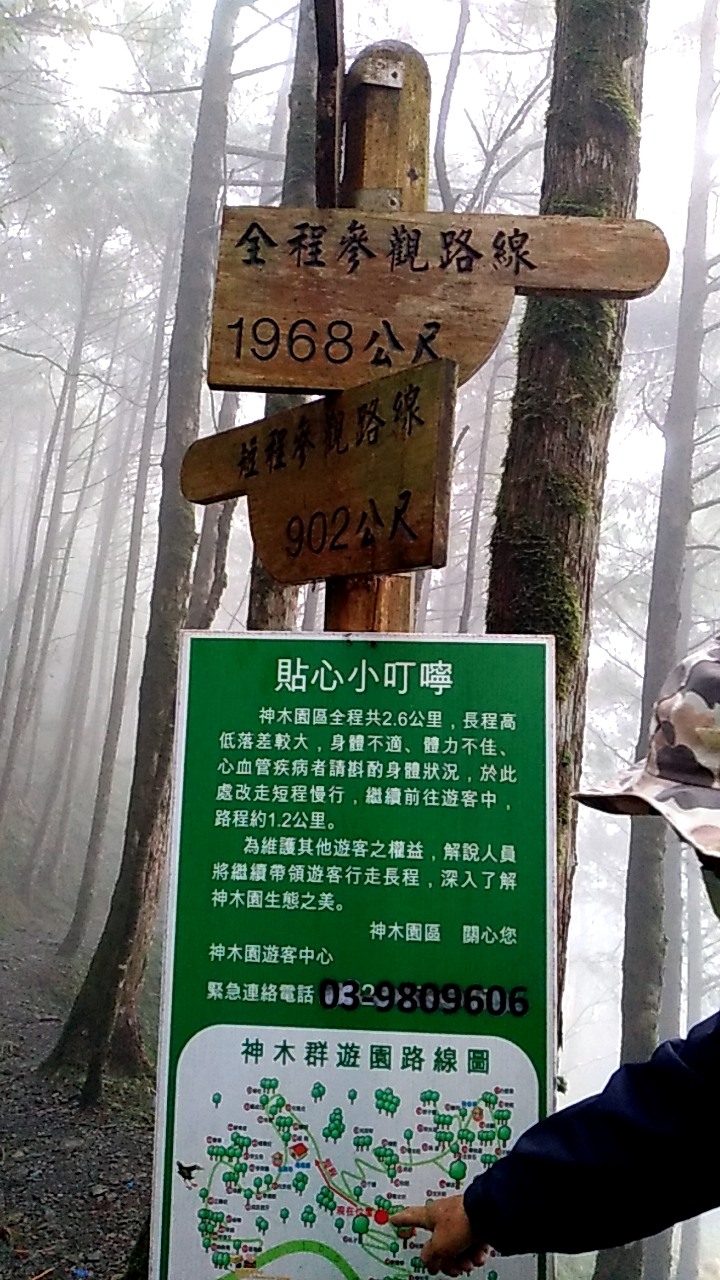棲蘭神木園區