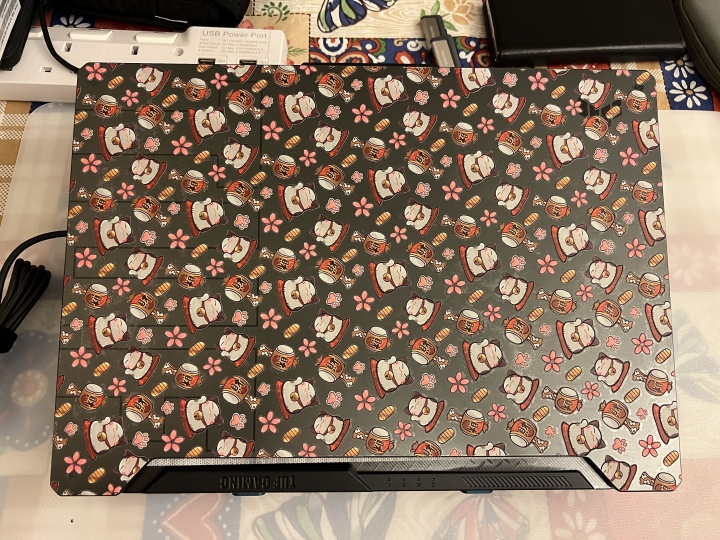ASUS TUF GAMING F15 FX506HM 灰色個人小改裝