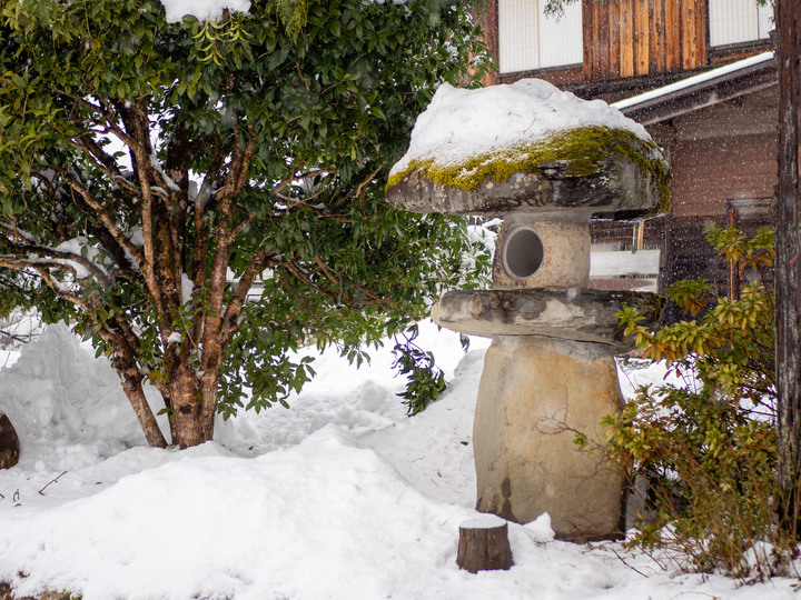 飛騨高山自駕行-1