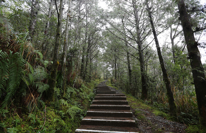 新年快樂，Kuga ST-Line四萬公里開向太平山