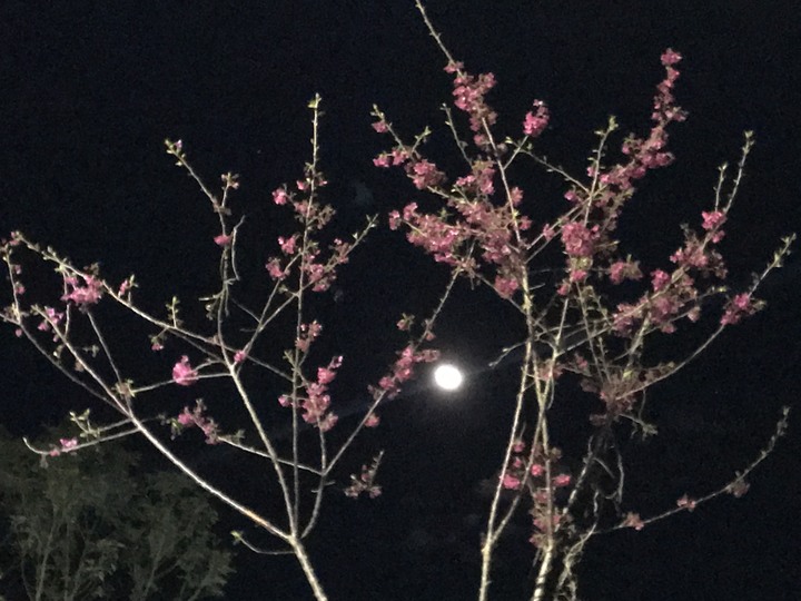 全天候騎士：大野狼五天五夜騎旅（二）－－老佛小路虎頭女乃溪霧台阿禮