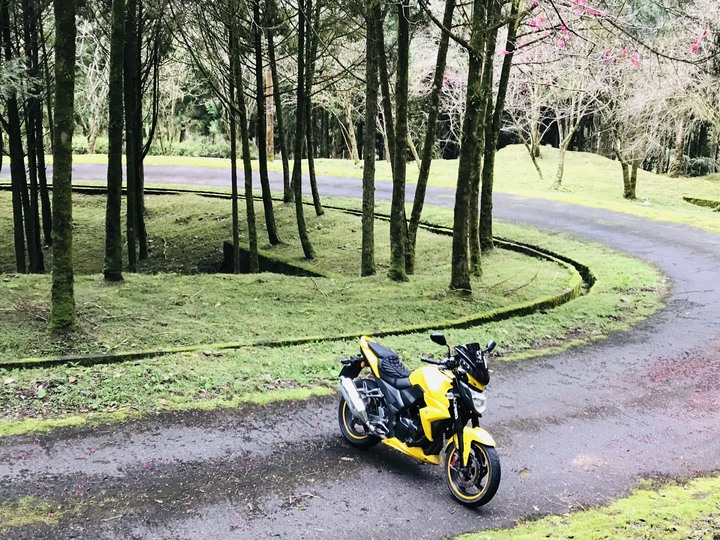 被遺忘的宜51鄉道