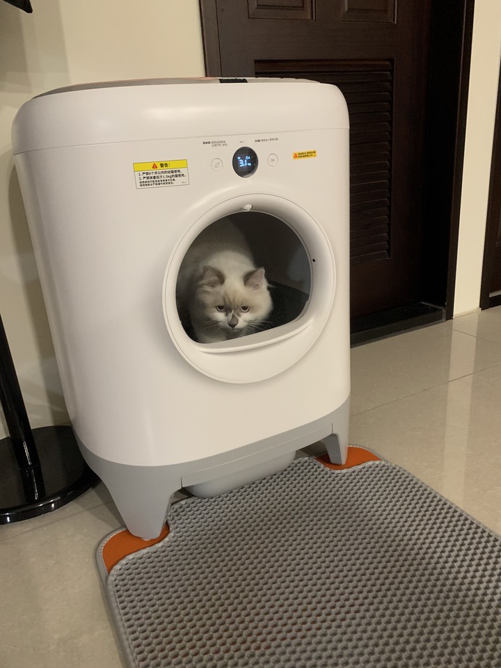 小佩 PetKit 自動貓砂盆 使用心得