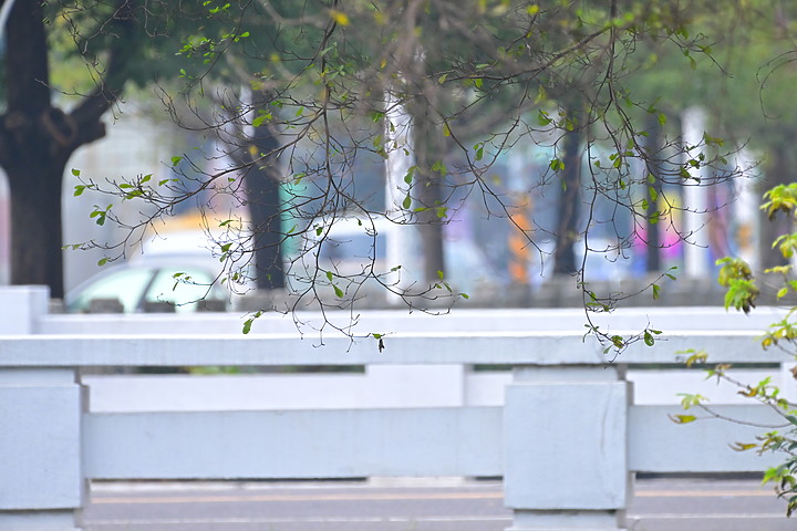 Z9+256裝上加倍鏡對焦追焦正常,但畫質受光及距離衰退情形明顯,且舉砲很吃力,建議還是上腳架。