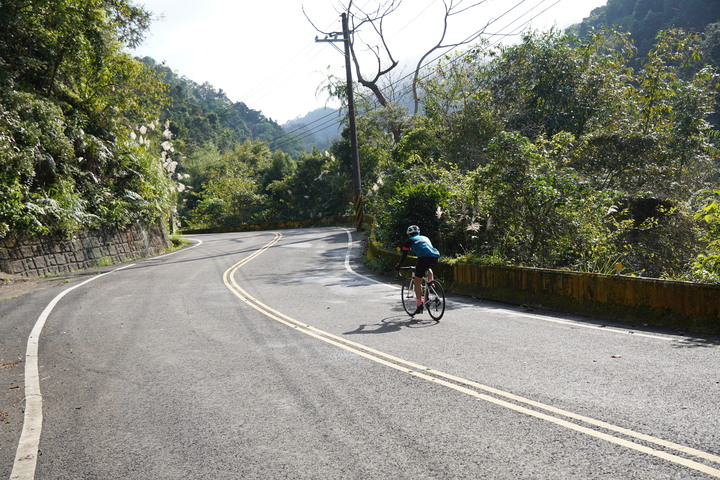 新竹五指山大山背O型休閒騎