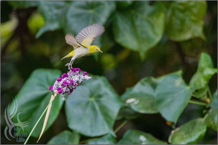 PENTAX．2021回顧