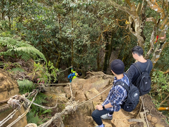 苗栗獅潭|仙山,CP值很高的小百岳,享受柳杉林又能挑戰岩壁拉繩攀爬
