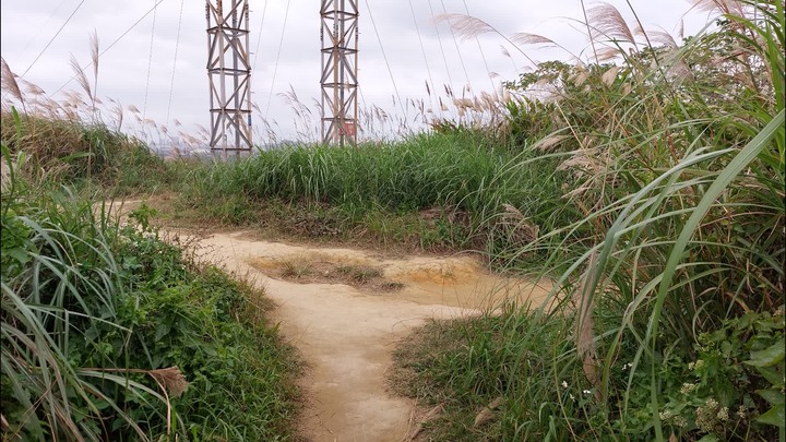 [樂山童盟] [新北樹林] 青龍嶺-三角埔頂山-大同山