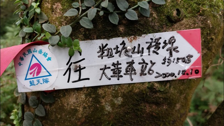 [樂山童盟] [新北平溪] 平湖西步道-內平林山