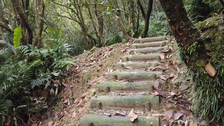 [樂山童盟] [新北平溪] 平湖西步道-內平林山