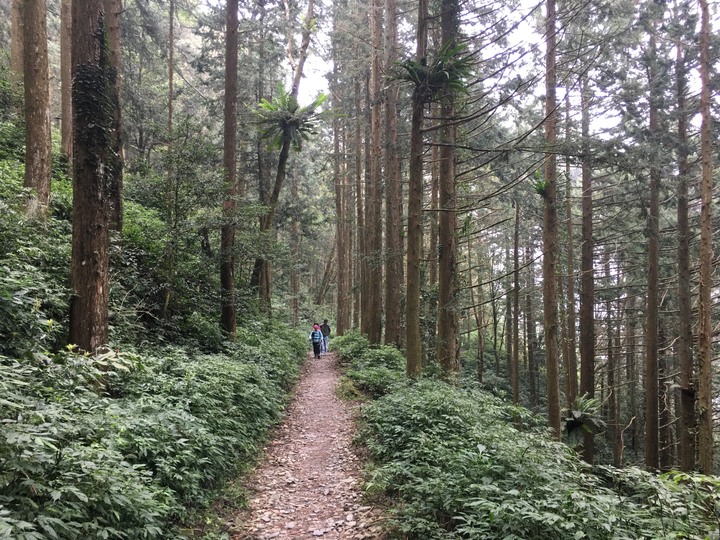 新春第一登-北大武日湯真山