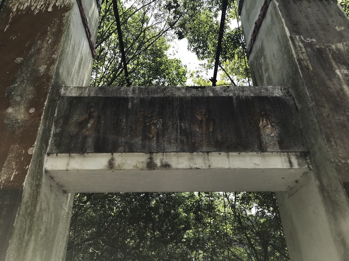小雲豹之力行產業道環島
