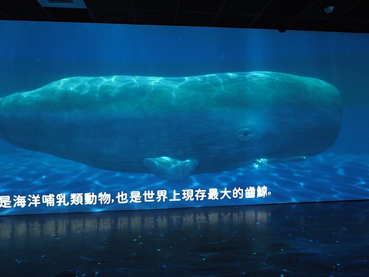 臺南左鎮化石園區 – 全臺首座且唯一之化石教育園區 — 大年初一走春去!