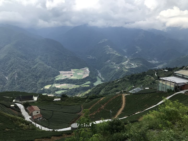 小雲豹之力行產業道環島