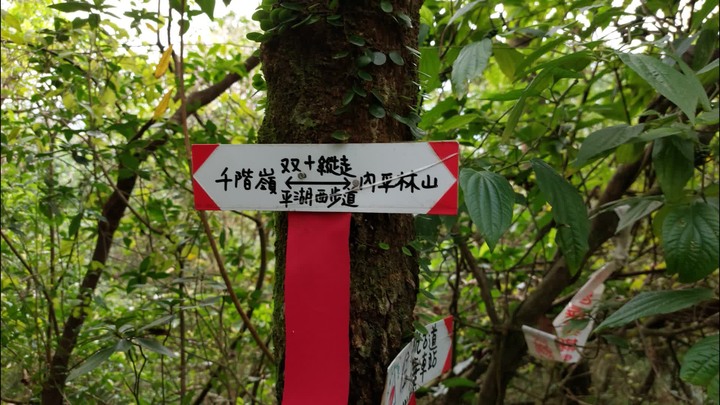 [樂山童盟] [新北平溪] 平湖西步道-內平林山