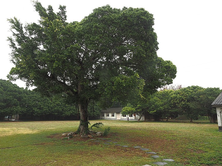 清水 牛罵頭遺址文化園區 — 全臺灣少有的史前遺址,神社、軍營、重要古物保存地等多重身分超時空交流場景,外帶居高臨下的臺灣海峽風光,一次全都看!