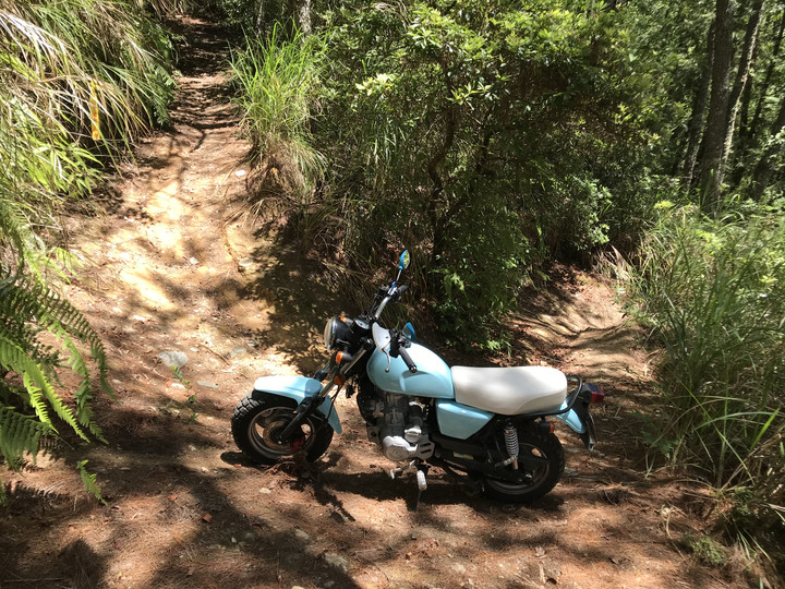 小雲豹之力行產業道環島