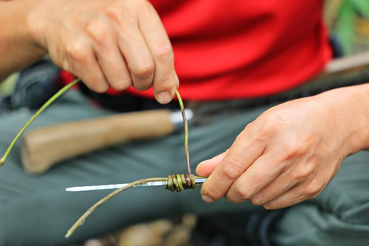點我看大圖 (映像旅行) 走在磯崎、感受融合 in花蓮豐濱 feat. Canon EOS R6