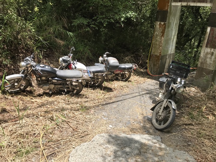 小雲豹之力行產業道環島