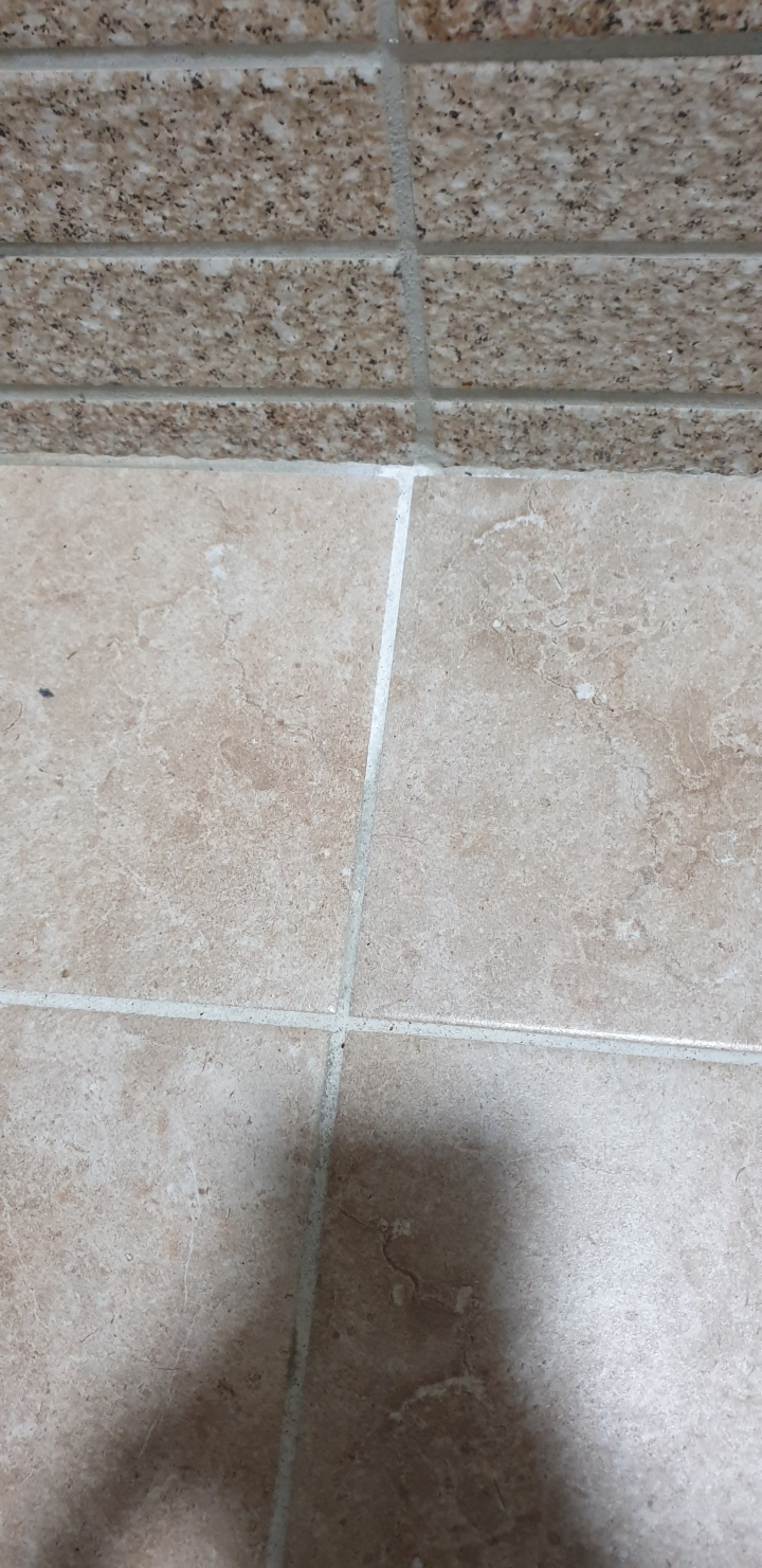 新成屋磁磚縫疑似白華