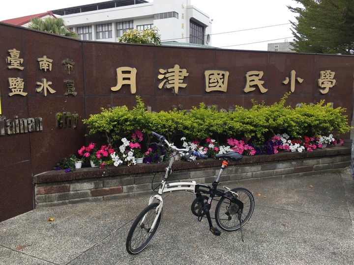 騎 遊 新 營 、 鹽 水 追 蜂 炮