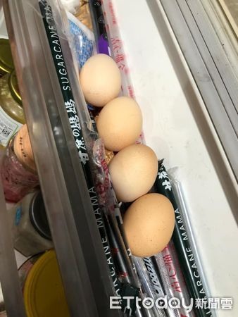 打開塑膠袋「母雞自己打包」眼神死媽實驗證明：跟貓一樣