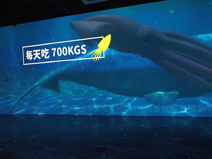 臺南左鎮化石園區 – 全臺首座且唯一之化石教育園區 — 大年初一走春去!