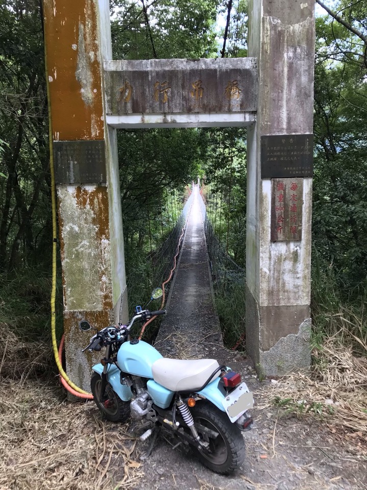 小雲豹之力行產業道環島
