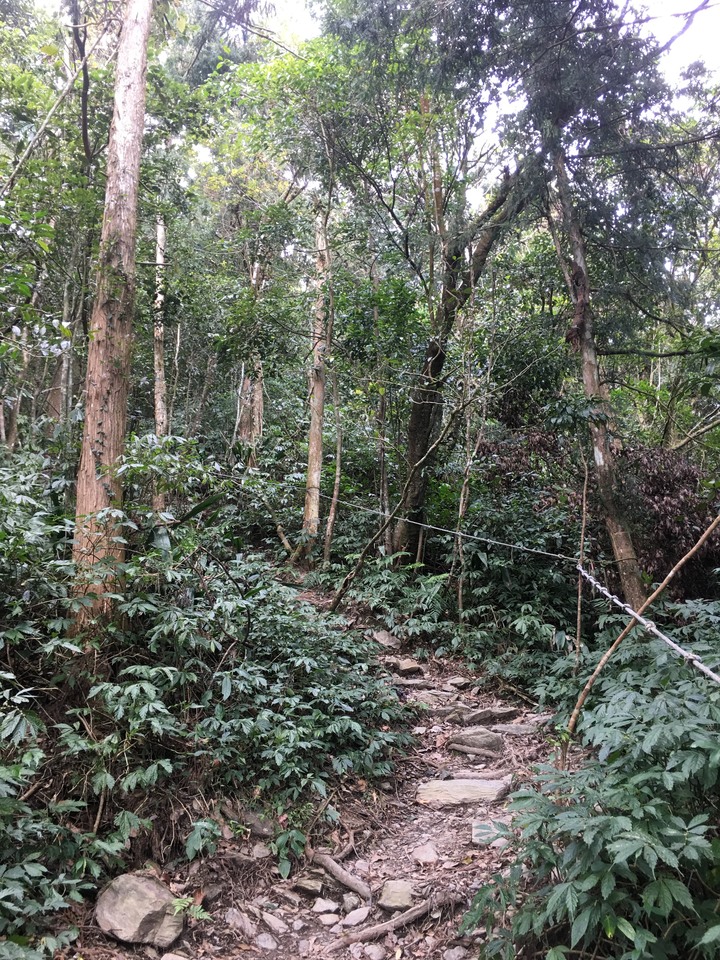 新春第一登-北大武日湯真山