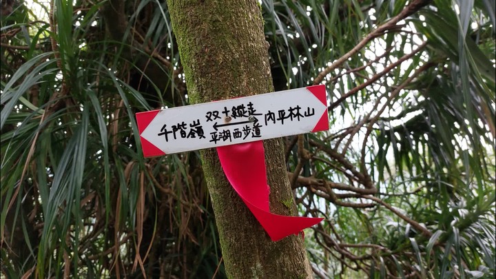 [樂山童盟] [新北平溪] 平湖西步道-內平林山