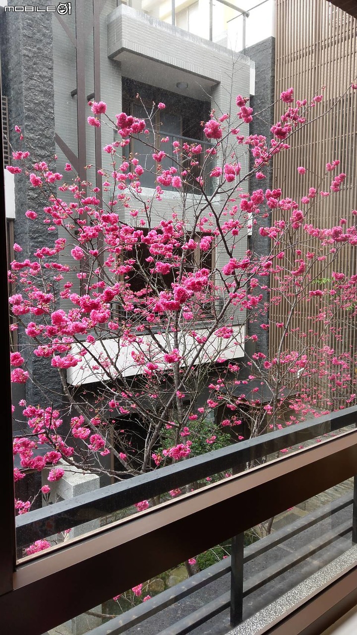 點我看大圖