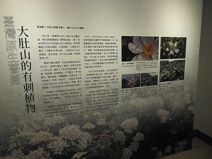 清水 牛罵頭遺址文化園區 — 全臺灣少有的史前遺址,神社、軍營、重要古物保存地等多重身分超時空交流場景,外帶居高臨下的臺灣海峽風光,一次全都看!
