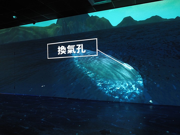 臺南左鎮化石園區 – 全臺首座且唯一之化石教育園區 — 大年初一走春去!